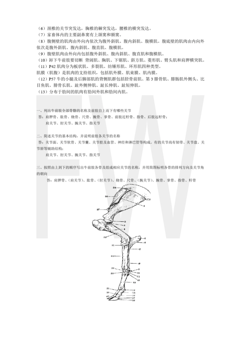 家畜解剖学知识点分类汇总.pdf_第2页