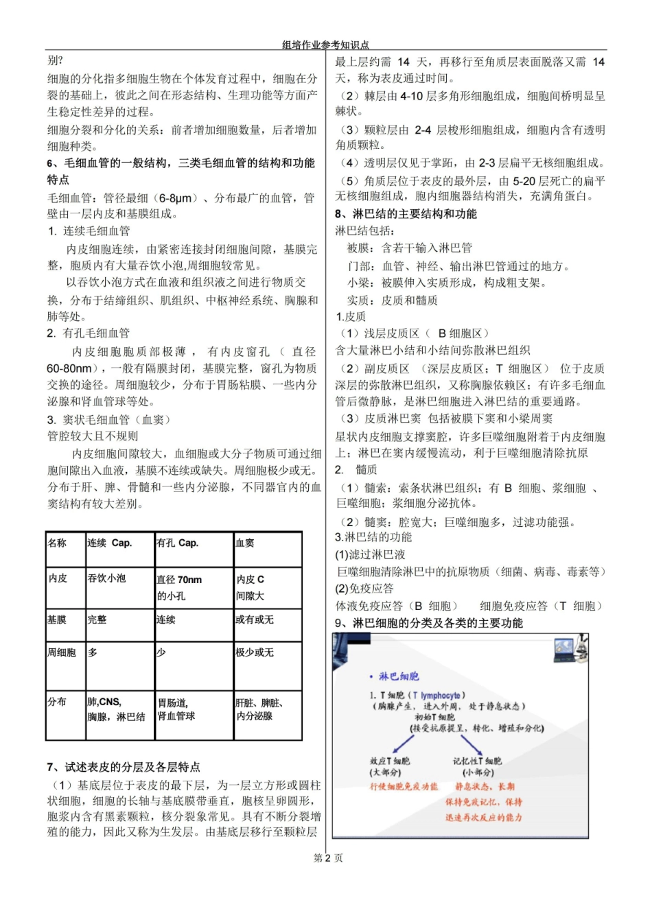 组织胚胎学 学习笔记+考试重点总结.pdf_第2页