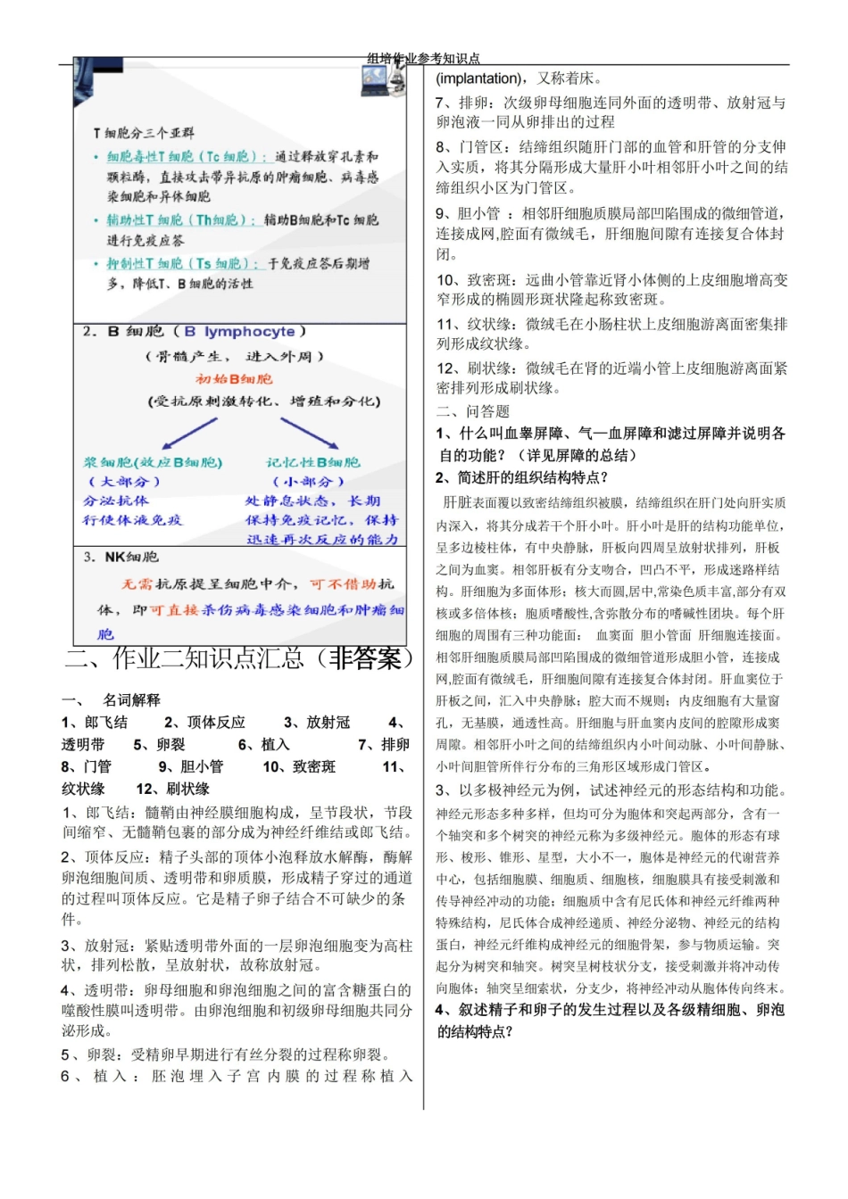 组织胚胎学 学习笔记+考试重点总结.pdf_第3页