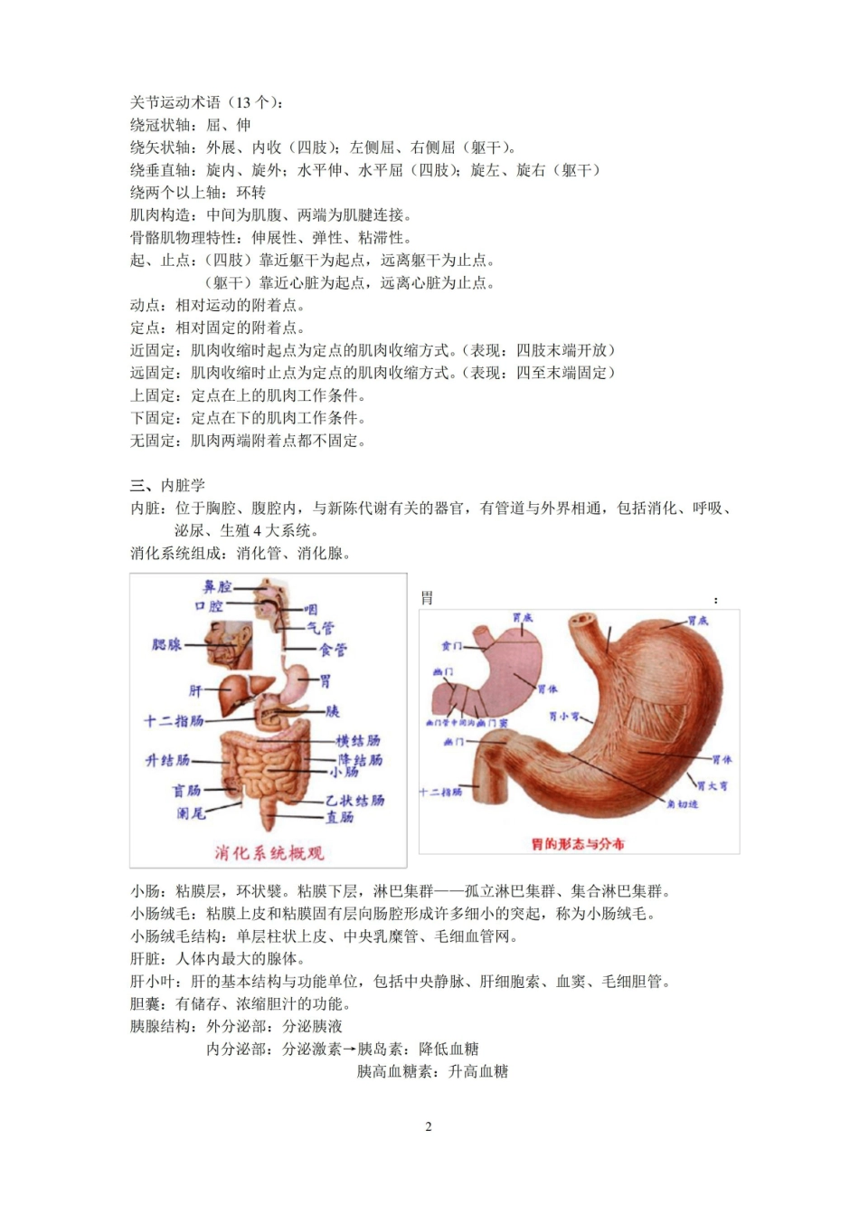 运动解剖学复习整理.pdf_第2页