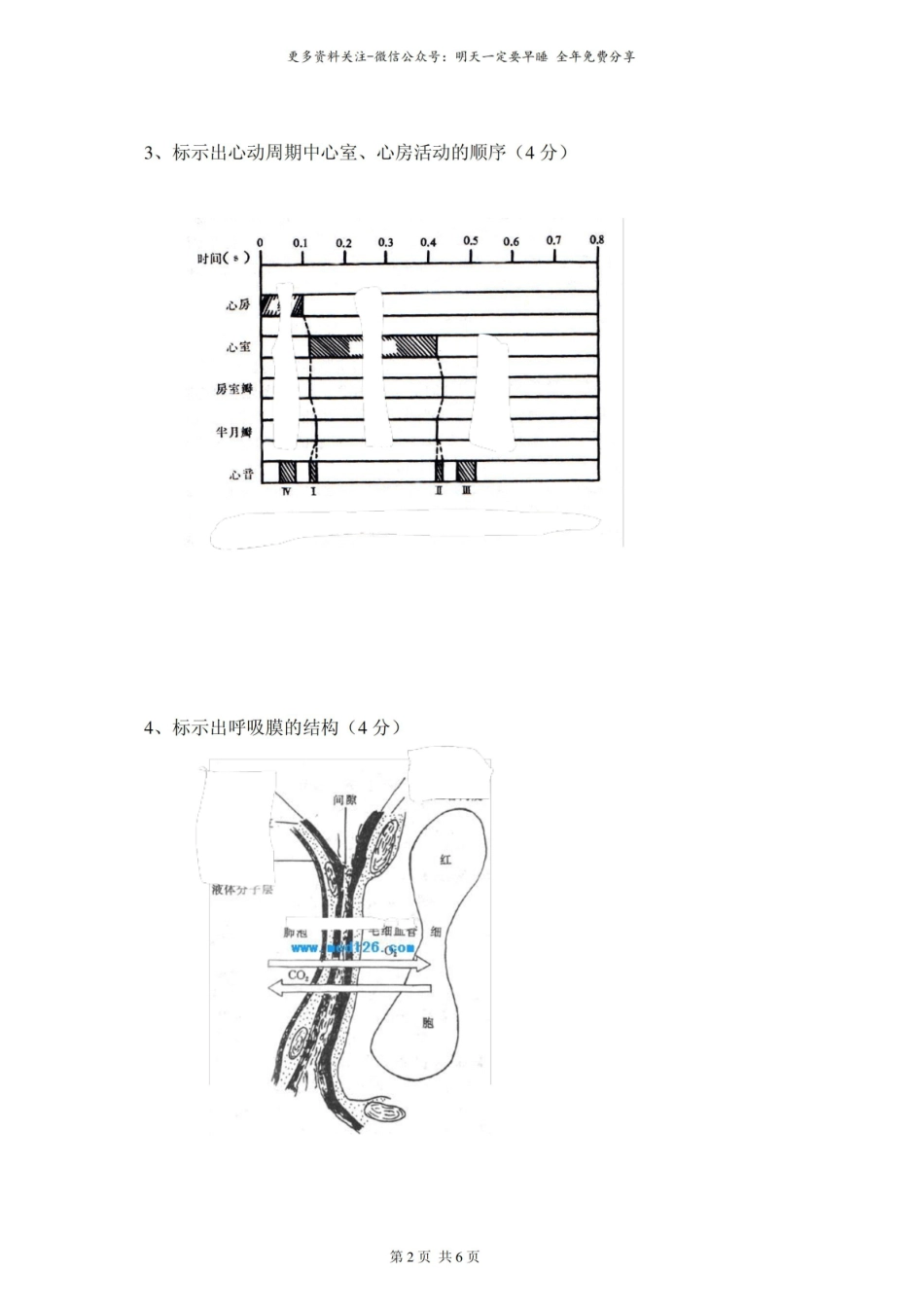 人体解剖生理学图片题.pdf_第2页