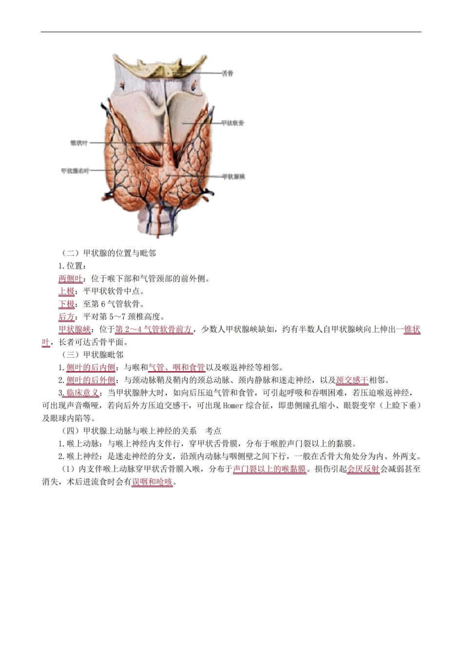 内分泌系统解剖考点总结.pdf_第3页