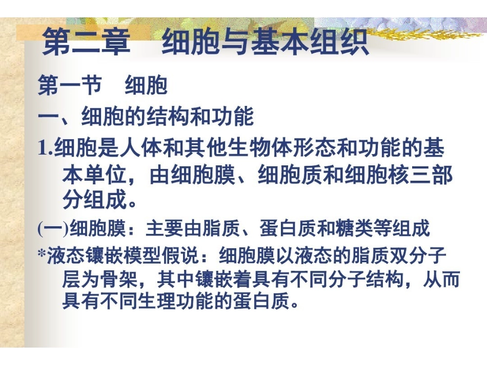 人体解剖生理学 PPT课件.pdf_第3页