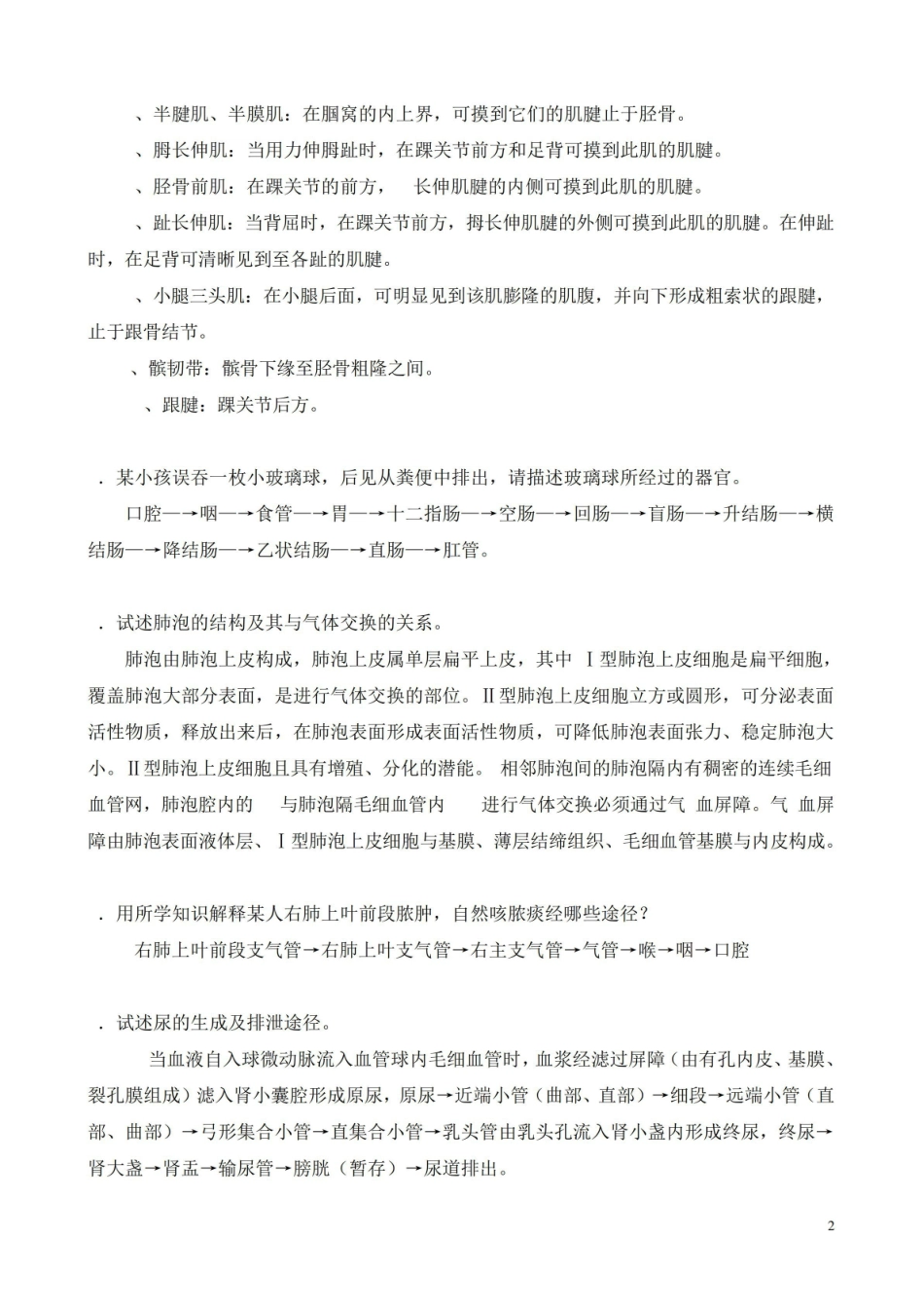 人体形态学自测题简答题.pdf_第2页