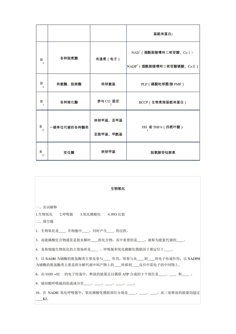生物学(第二版)试题及答案(期末用).pdf_第2页