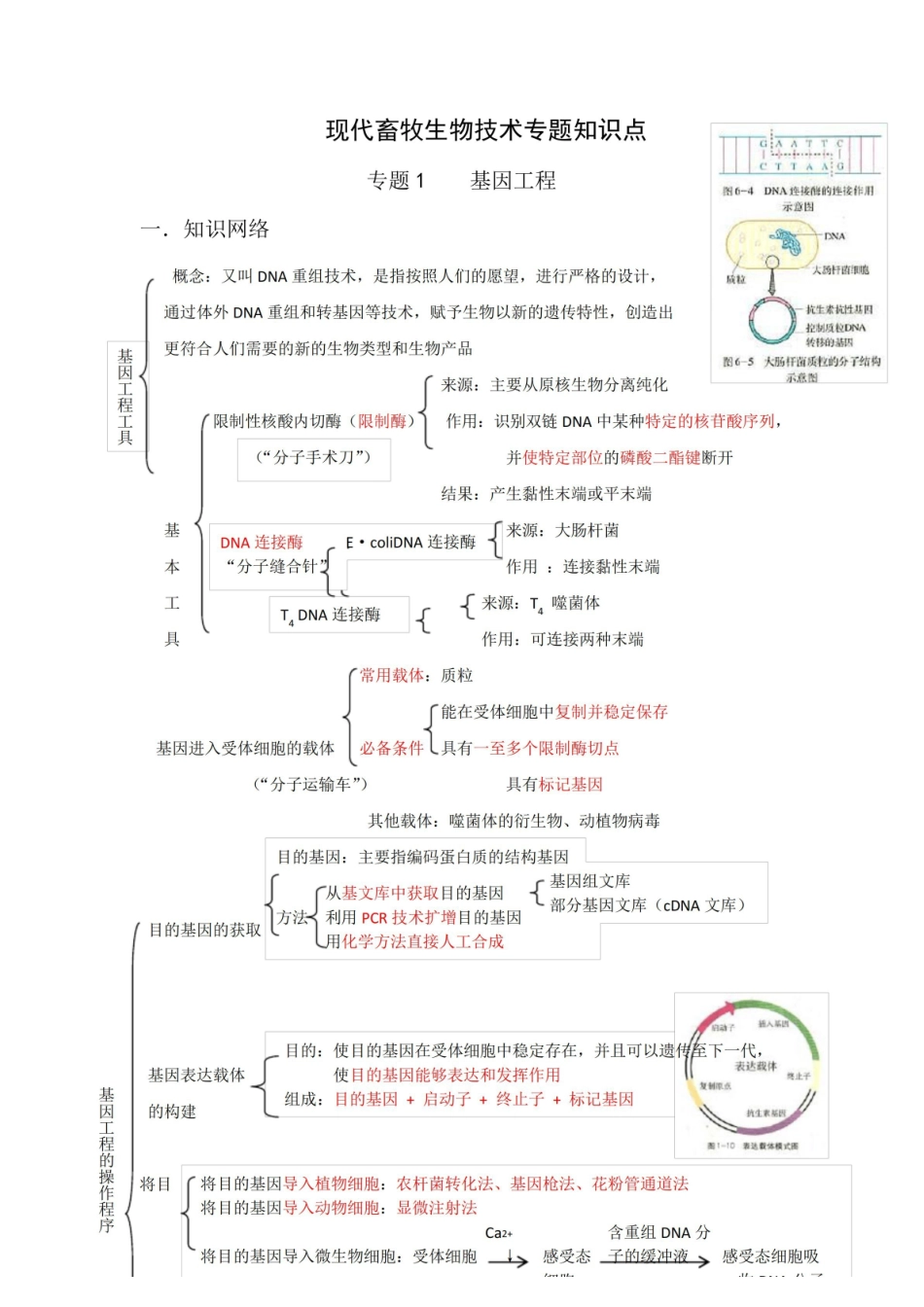 现代畜牧生物技术专题知识点.pdf_第1页