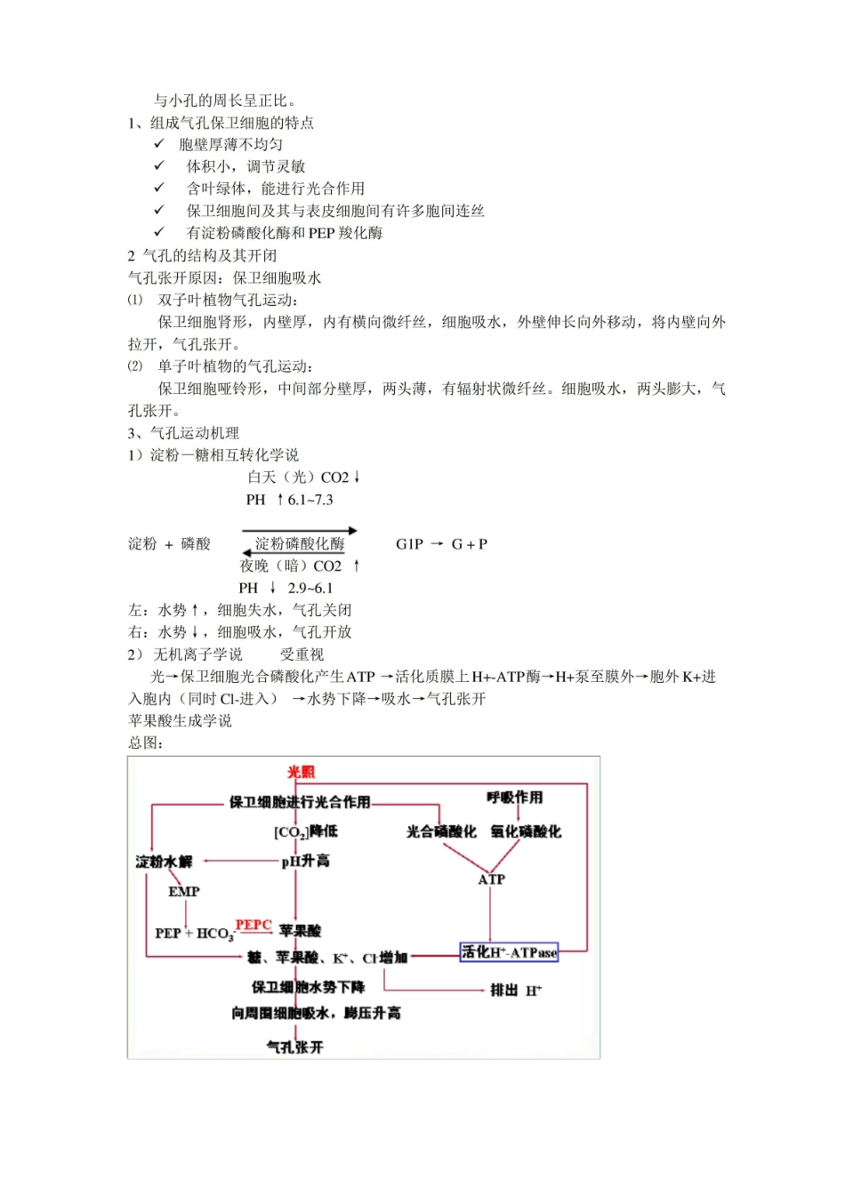 植物生理学重点知识整理.pdf_第2页