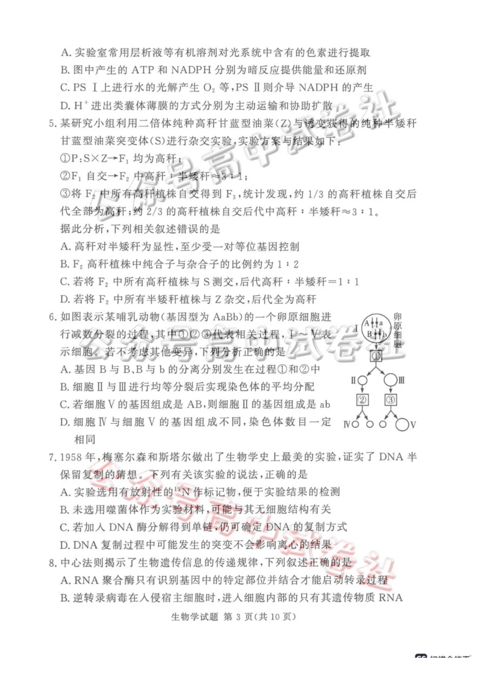 2025-2026学年高三下学期四月阶段检测生物_.pdf_第3页