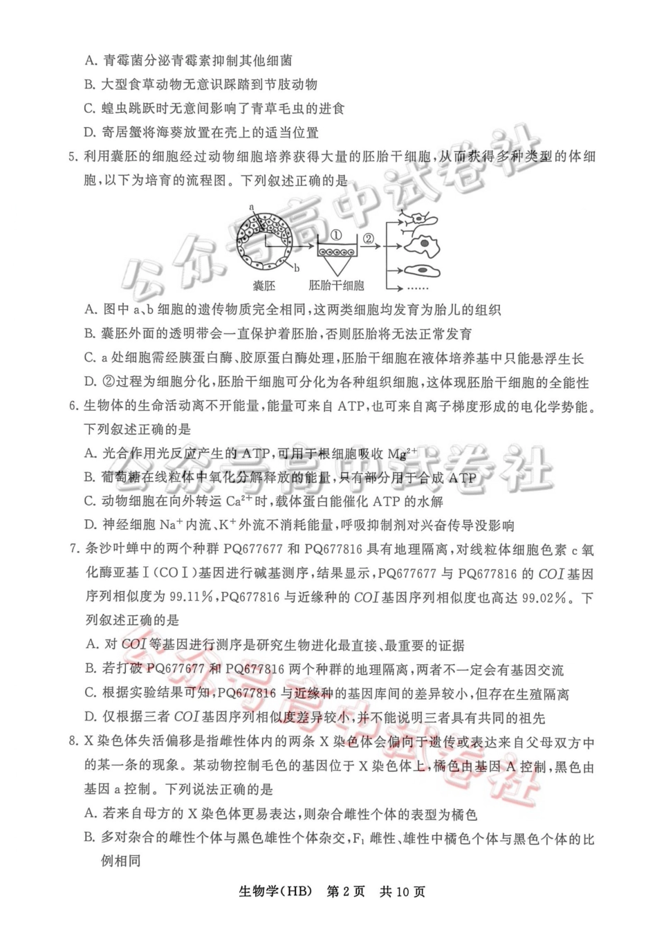 2026届高三年级四月阶段练习生物(HB)_.pdf_第2页