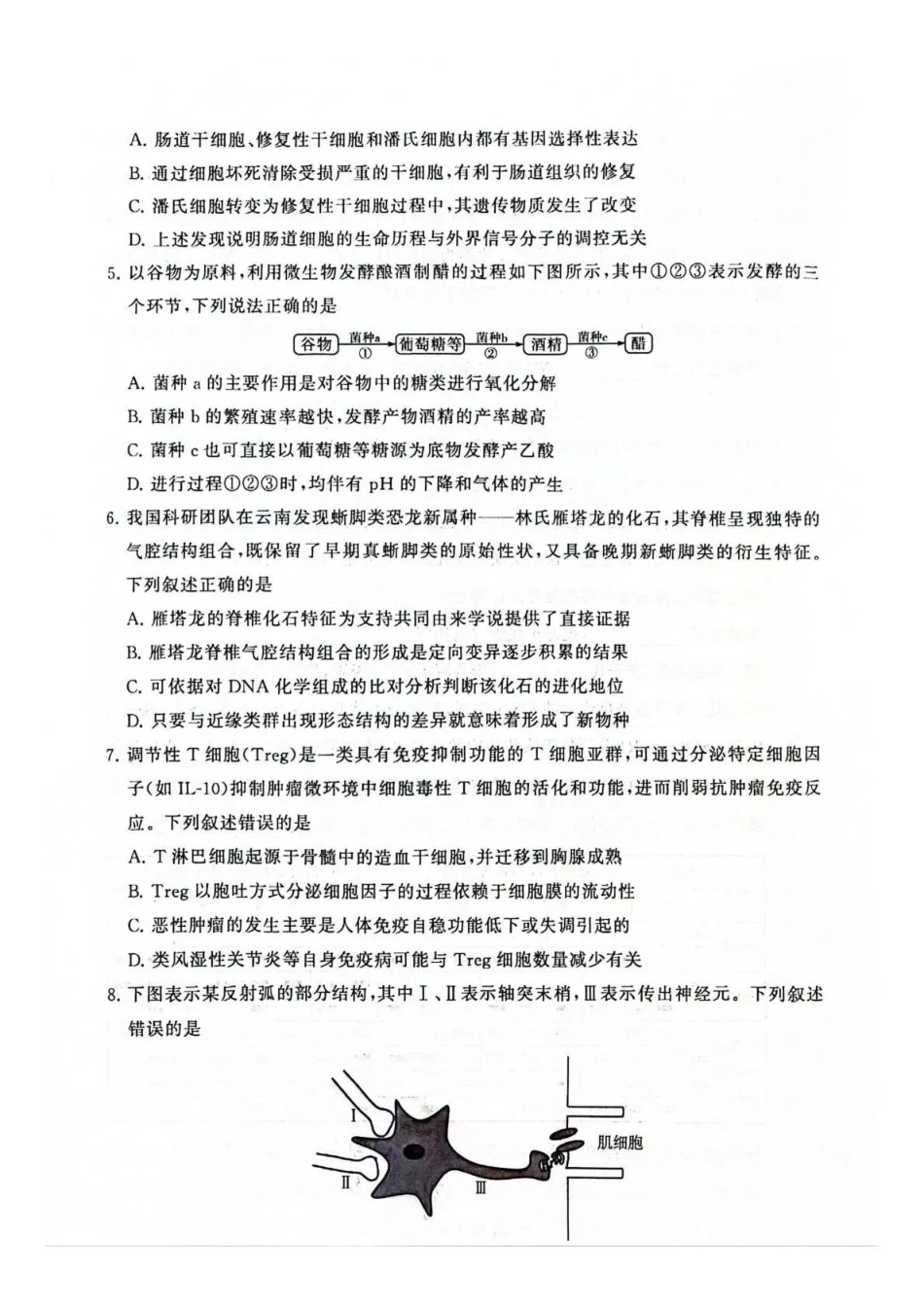 2026届高三年级四月阶段练习生物(HN).pdf_第2页