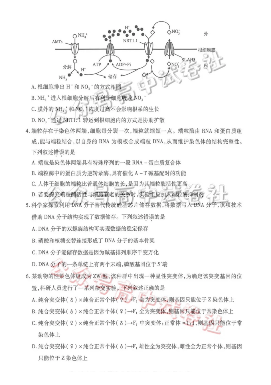 2026年高三年级第二次模拟考试试题生物_.pdf_第2页