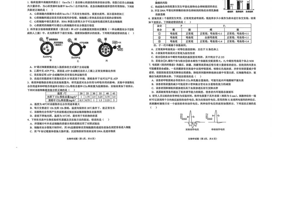 安徽铜陵、黄山、宣城（三市二模）2026届高三4月份质量检测（全）-生物试题.docx_第1页