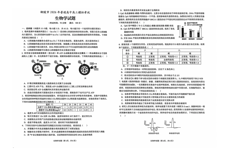 安徽铜陵、黄山、宣城（三市二模）2026届高三4月份质量检测生物.pdf_第1页