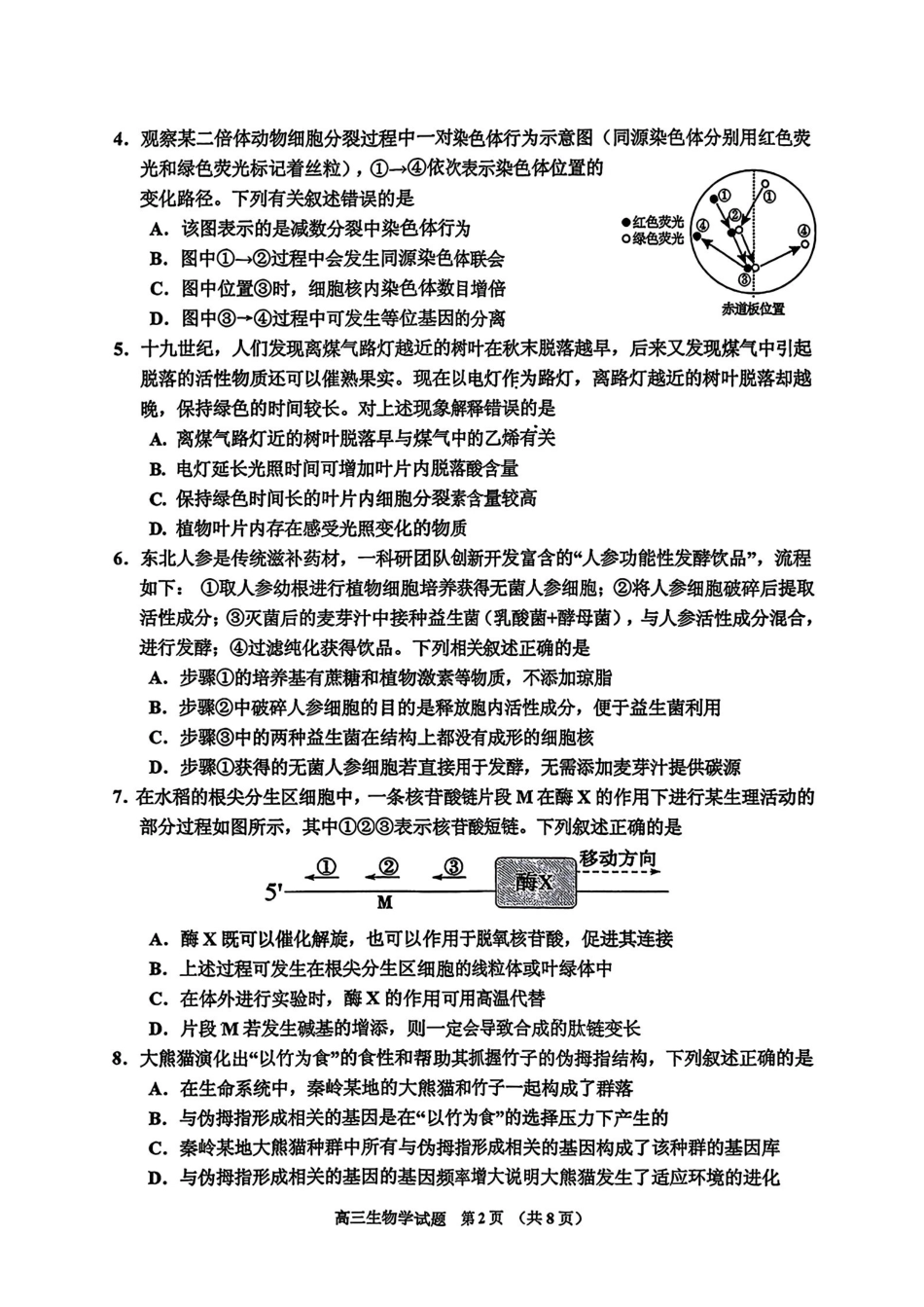 吉林地区普通中学2025-2026学年度高中毕业年级第三次调研测试生物+答案.pdf_第2页