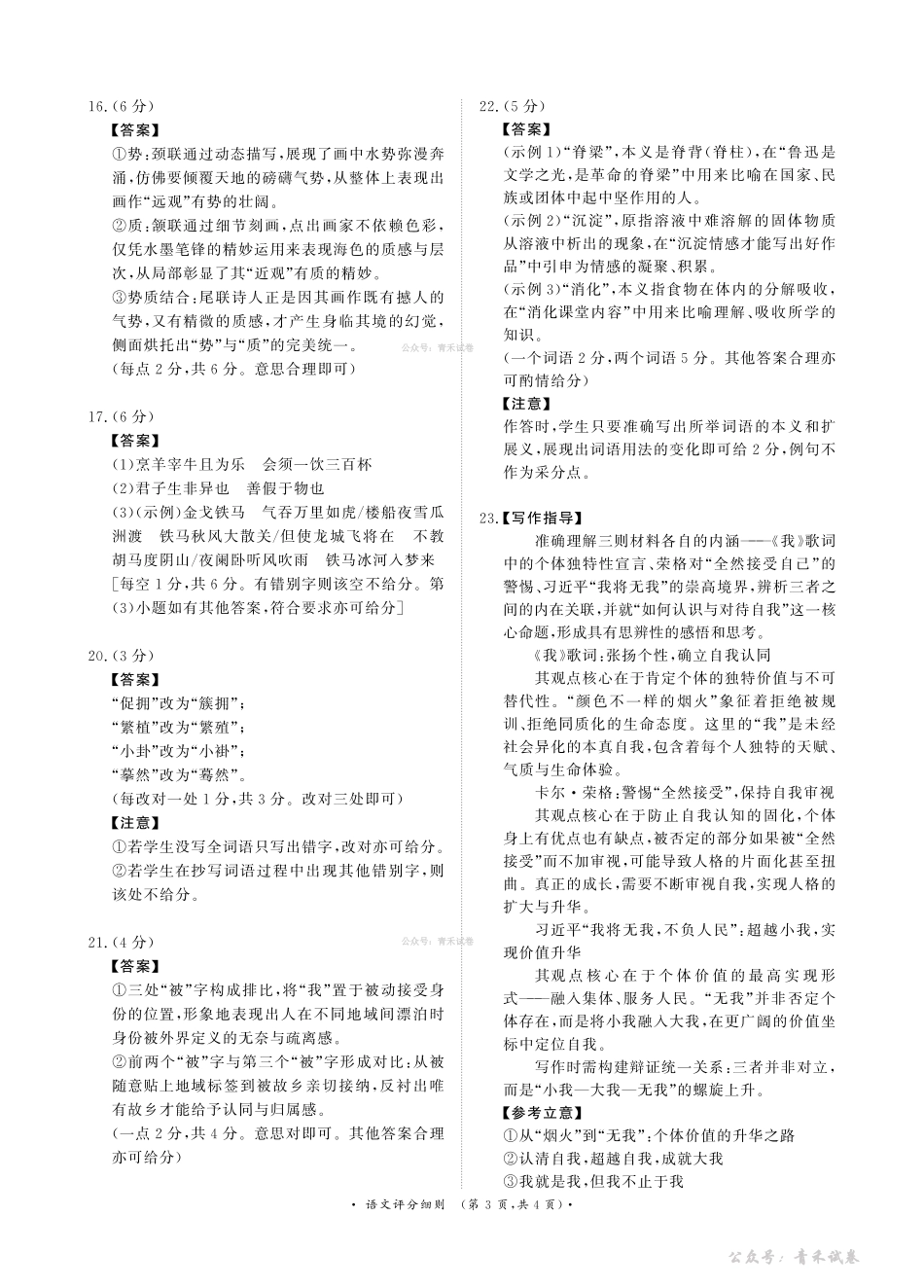 青桐鸣2026届高三下学期4月内部练语文评分细则.pdf_第3页
