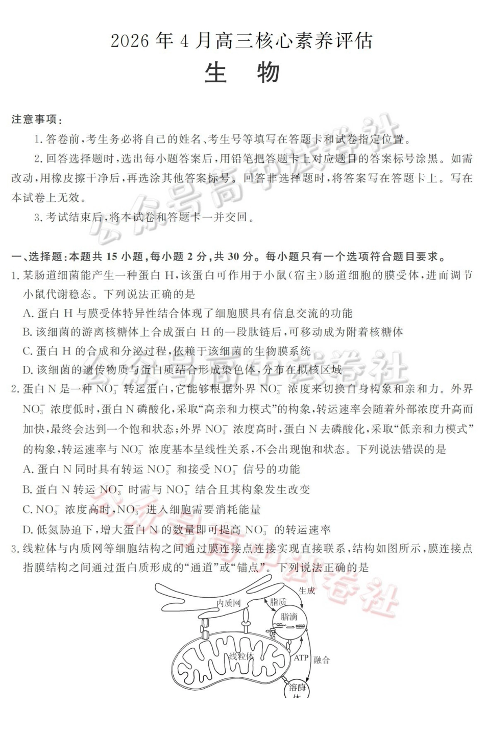 山东名校考试联盟2026年4月高三核心素养评估生物_.pdf_第1页