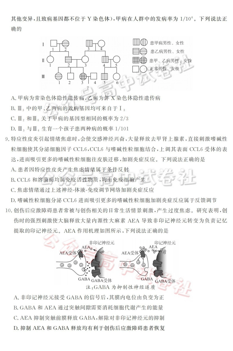山东名校考试联盟2026年4月高三核心素养评估生物_.pdf_第3页