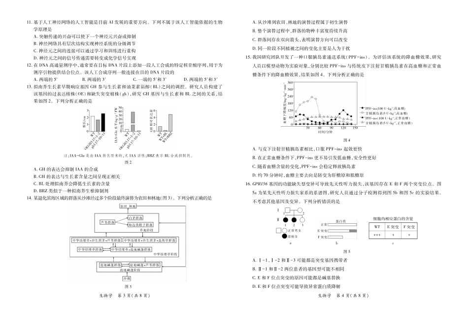 生物()(精排版)(3.28定稿)广东湛江市2026年普通高考测试(二)(湛江二模)(4.8-4.10).pdf_第2页