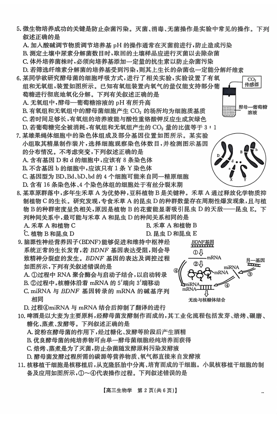 生物(26-308C)广西壮族自治区崇左市2026年3月高三年级第一次质量检测(26-308C)(崇左一模)(3.24-3.26)(1).pdf_第2页