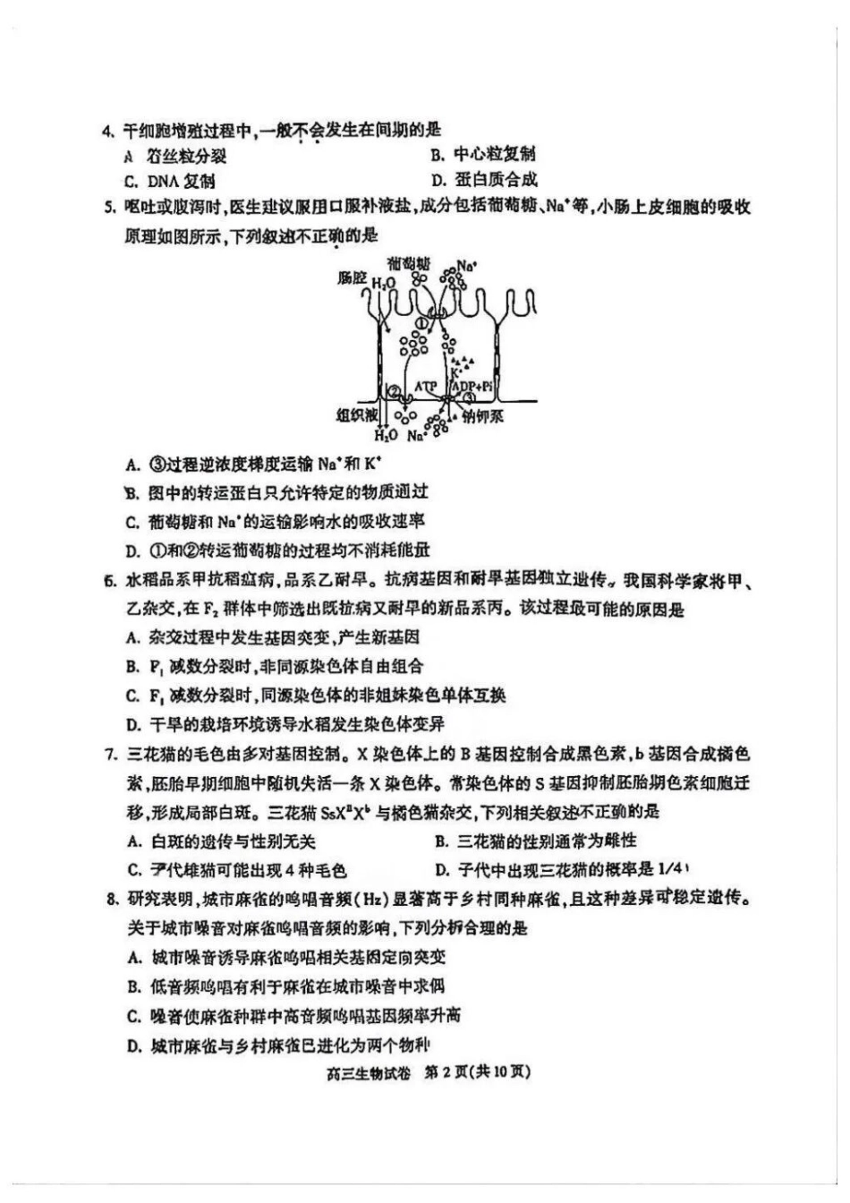 生物【北京卷】北京市顺义区2026年高三年级统一测试试卷(顺义高三一模)(3.30-4.2).docx_第2页