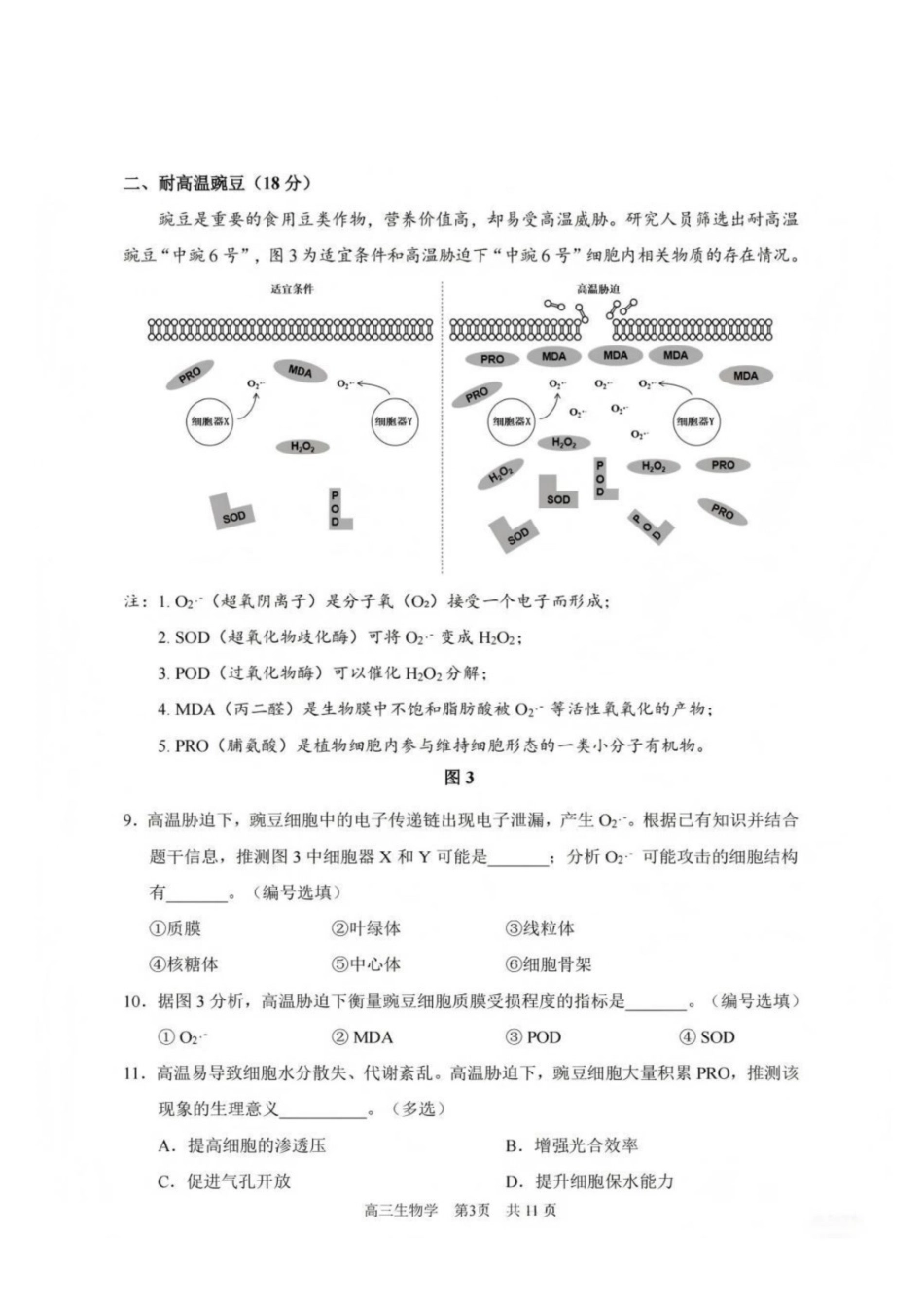 生物【上海卷】上海市浦东新区2026届高三年级2025学年第二学期期中考试暨二模考试(浦东二模)(4.1-4.3)).pdf_第3页