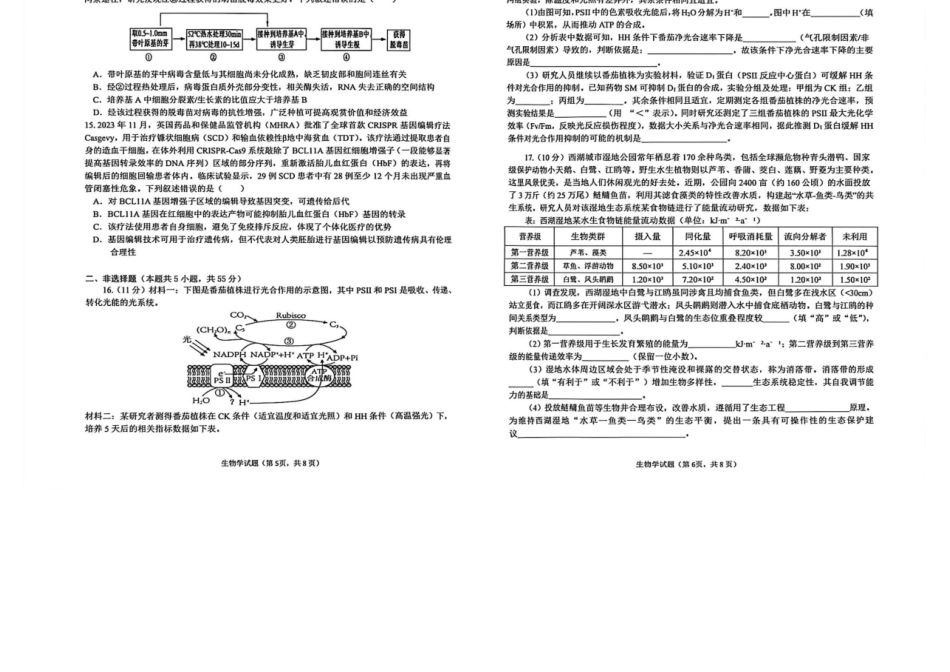 生物安徽铜陵、黄山、宣城三市2026届高三4月份质量检测(三市二模)（4.7-4.9）.docx_第3页