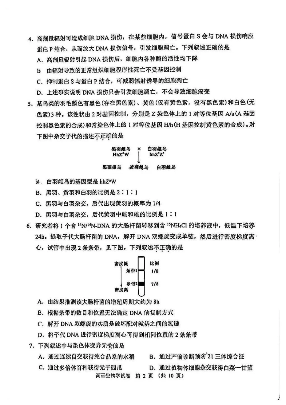 生物北京市石景山区2026年高三年级下学期统一练习(石景山一模)(3.30-4.2).docx_第2页