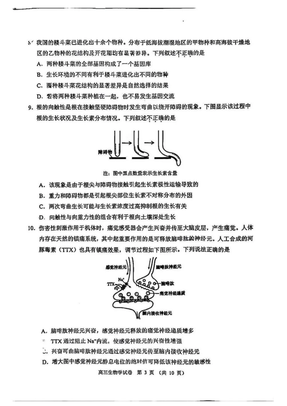 生物北京市石景山区2026年高三年级下学期统一练习(石景山一模)(3.30-4.2).docx_第3页