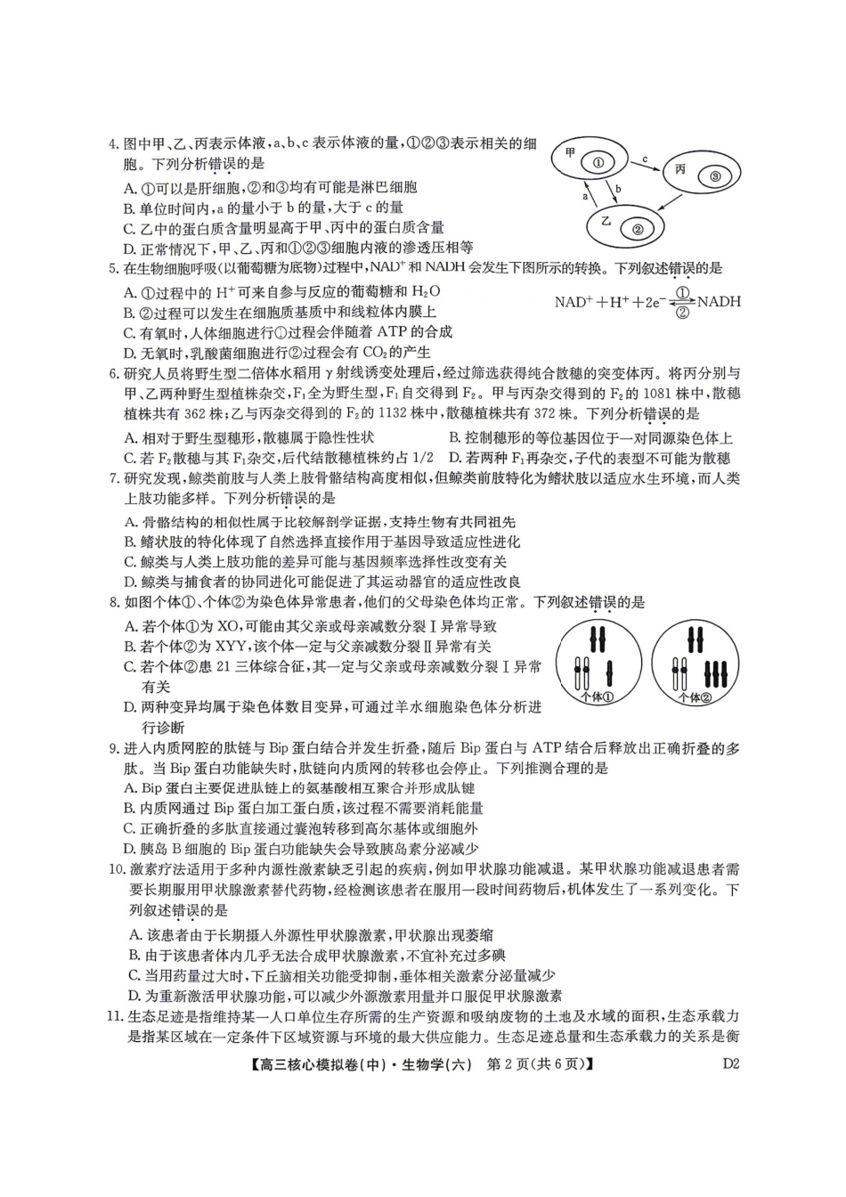 生物九师联盟2025-2026学年高三年级下学期核心模拟卷中（六）（4.6-4.7）.pdf_第2页