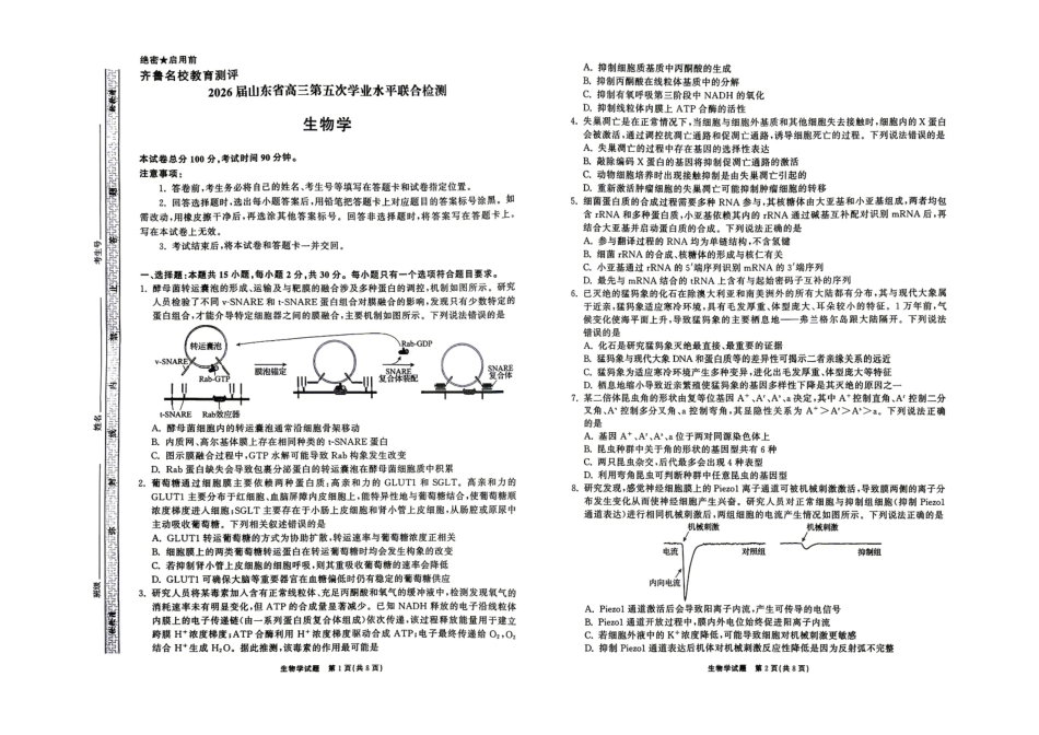 生物山东齐鲁名校教育测评大联考2026届山东高三年级第五次学业水平联合检测((4.2-4.3).pdf_第1页