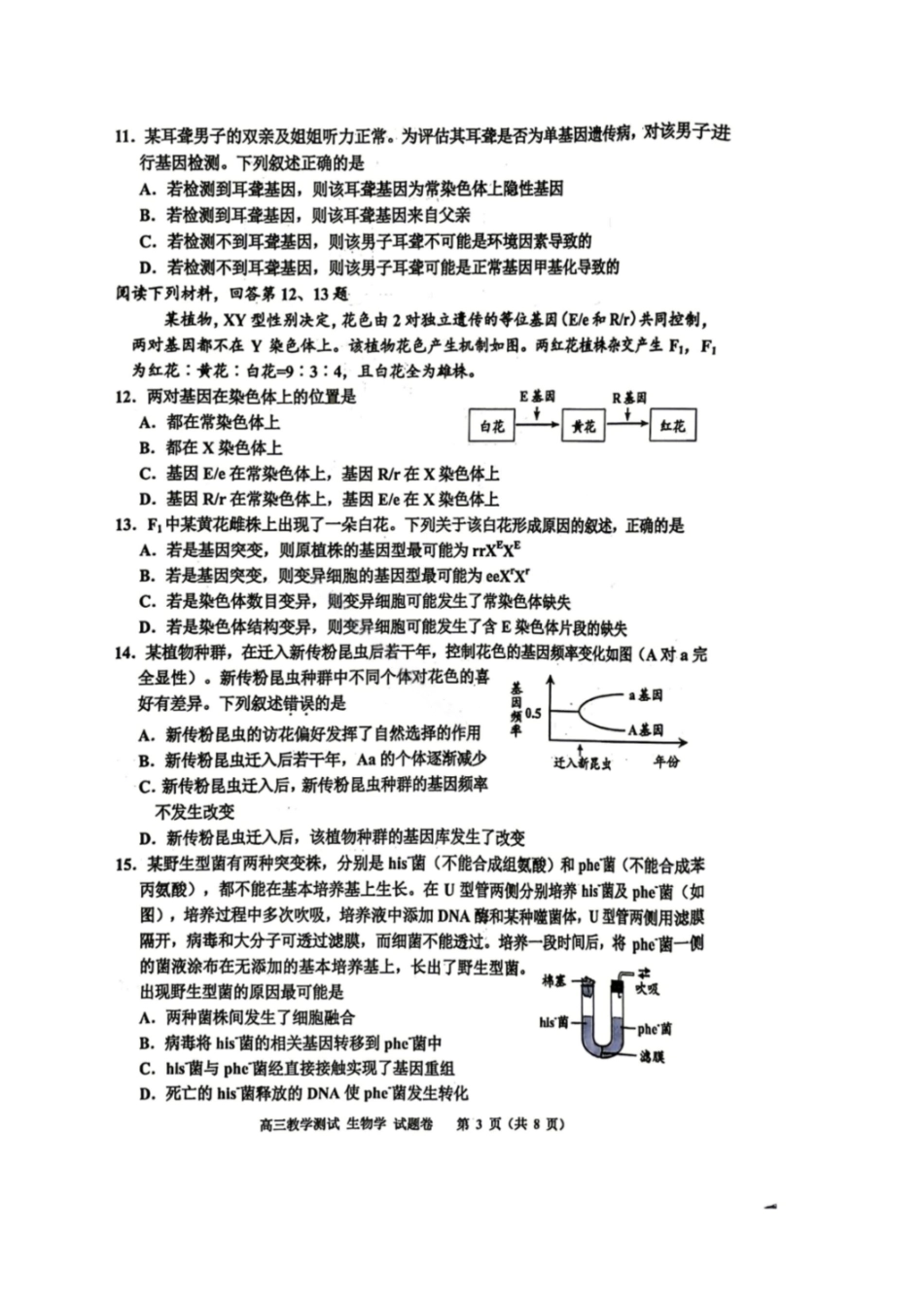 生物浙江嘉兴市2026年第二学期高三年级4月教学测试(嘉兴高三二模)(4.7-4.9).pdf_第3页