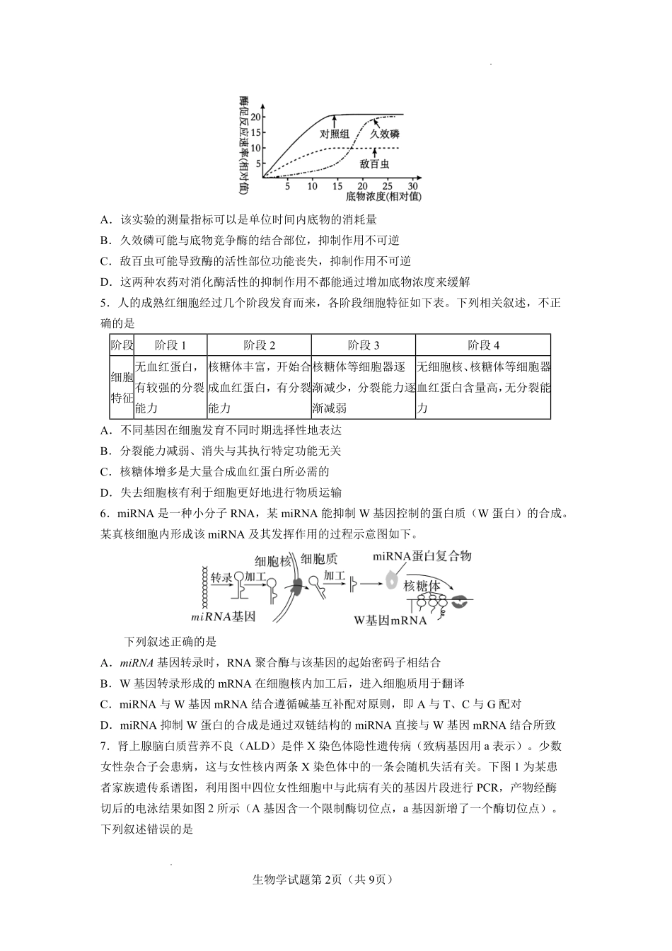 玉溪一中2025一2026学年下学期高三适应性测试（一）生物.pdf_第2页
