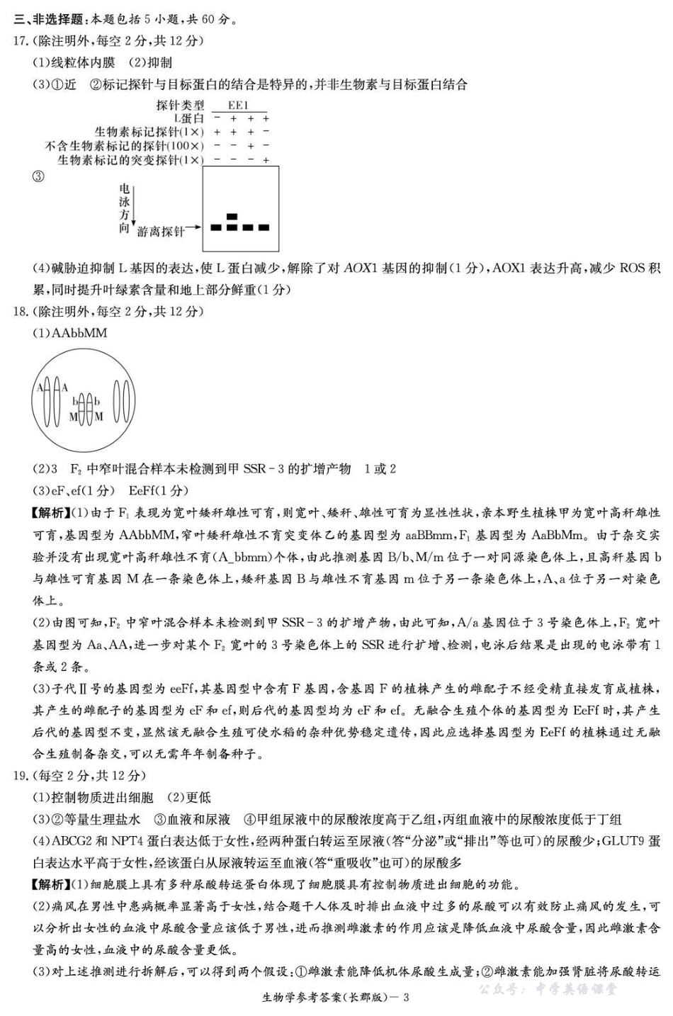 长郡中学2026届高三月考试卷（五）生物答案.pdf_第3页