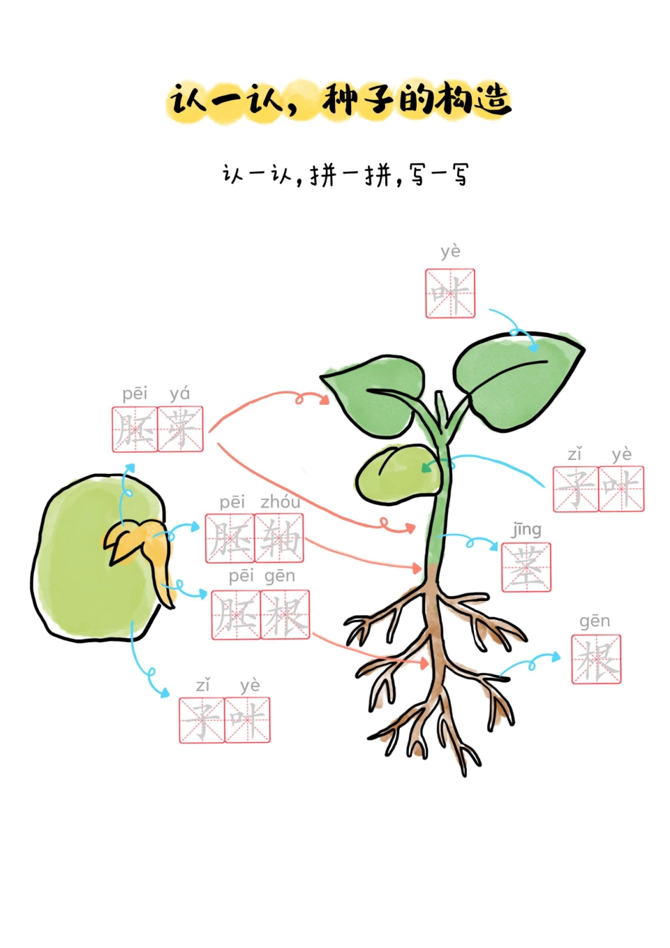 春天种植手册(3).pdf_第2页