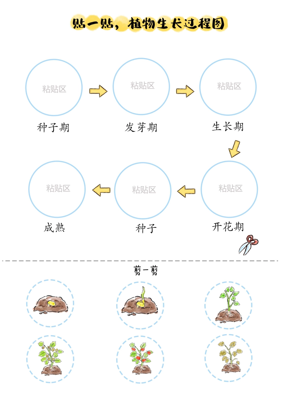春天种植手册(3).pdf_第3页
