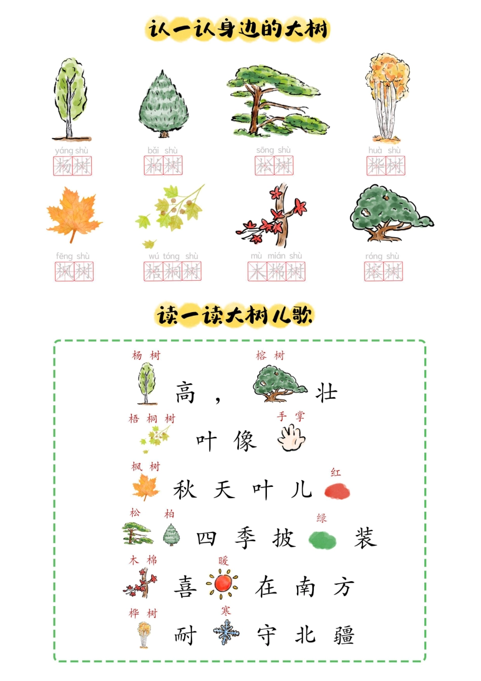 我的树木探索图鉴(3).pdf_第2页
