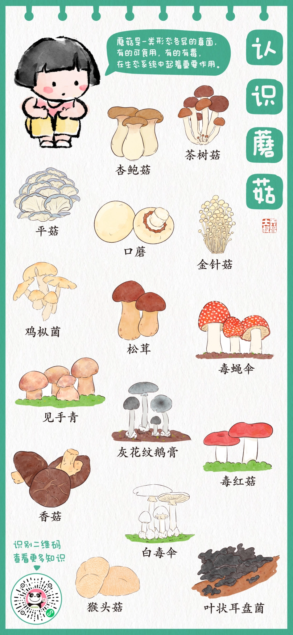 学习海报31-40|乔智大叔手绘(2).pdf_第3页
