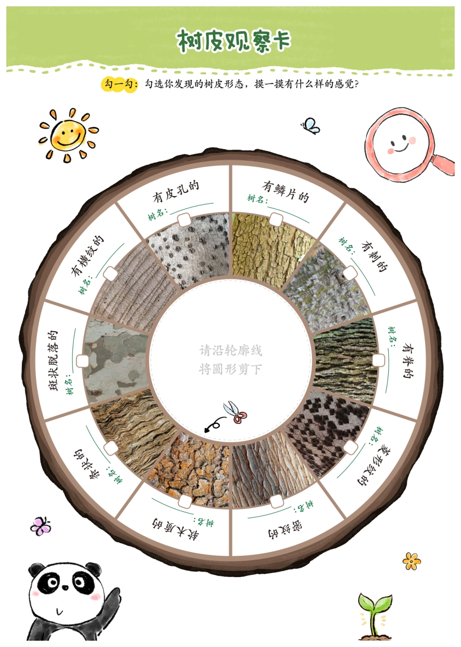 植树节探索手册(3).pdf_第3页