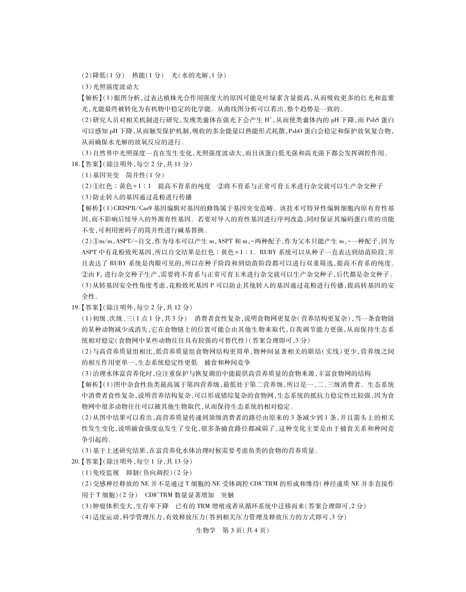 26届4月湛江高三二模生物学答案.pdf_第3页