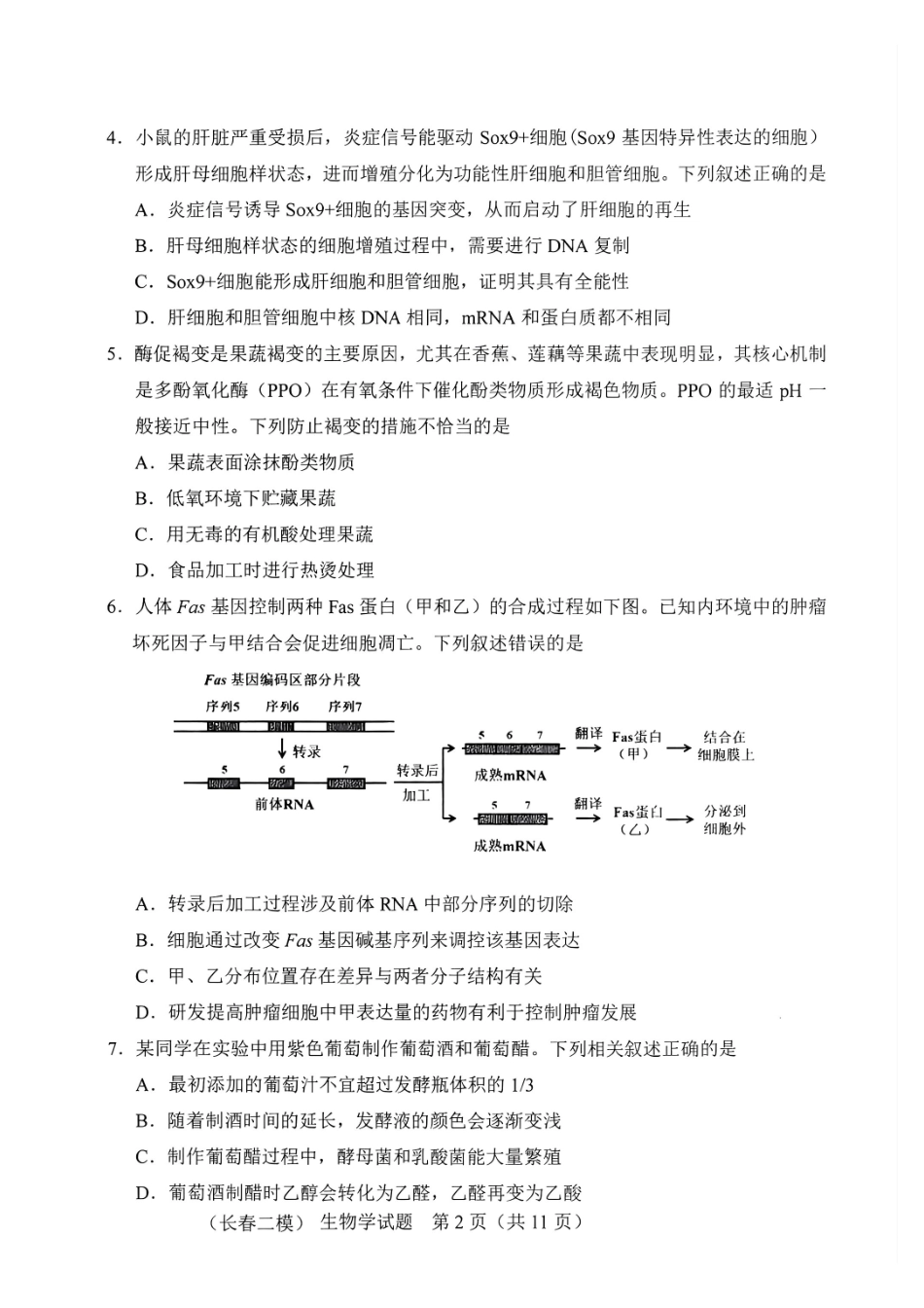 2026.4长春高三二模生物试卷+答案.pdf_第2页