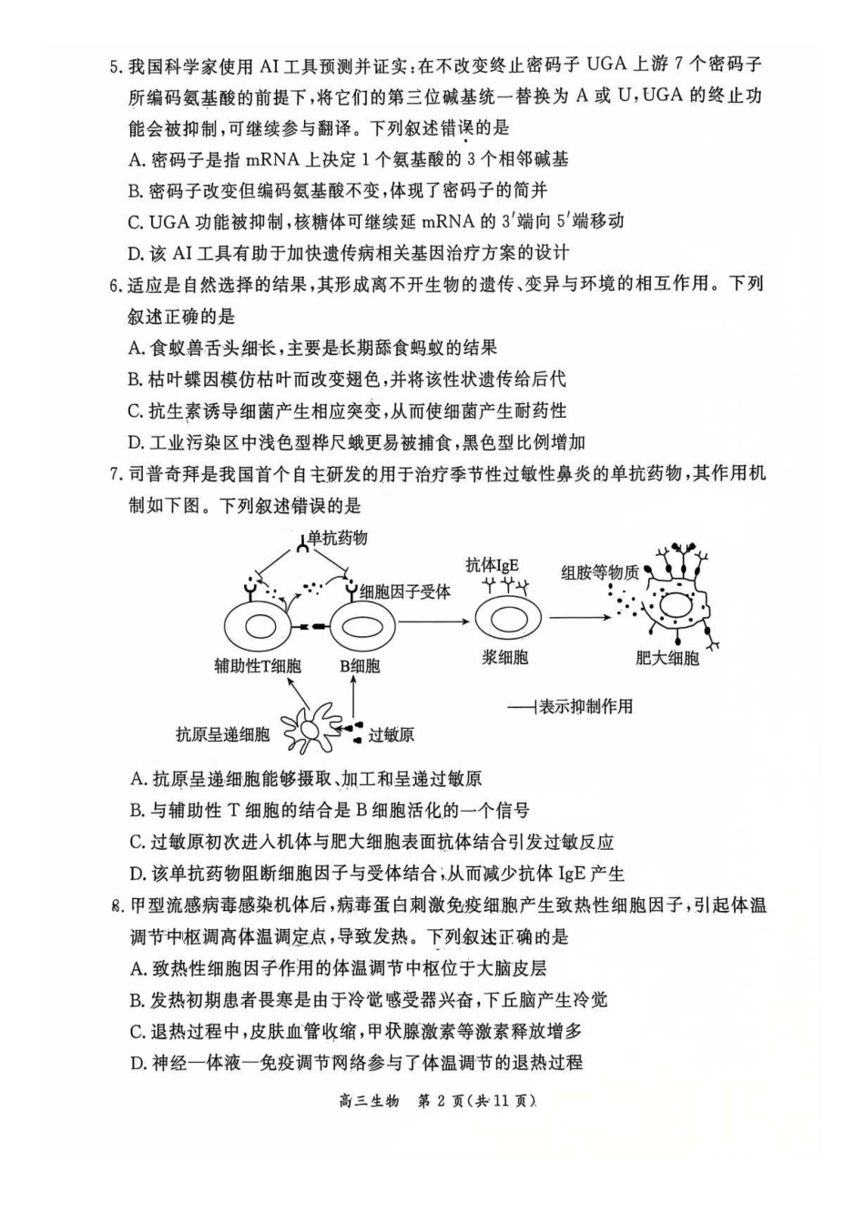 2026北京东城高三一模生物+答案.pdf_第2页