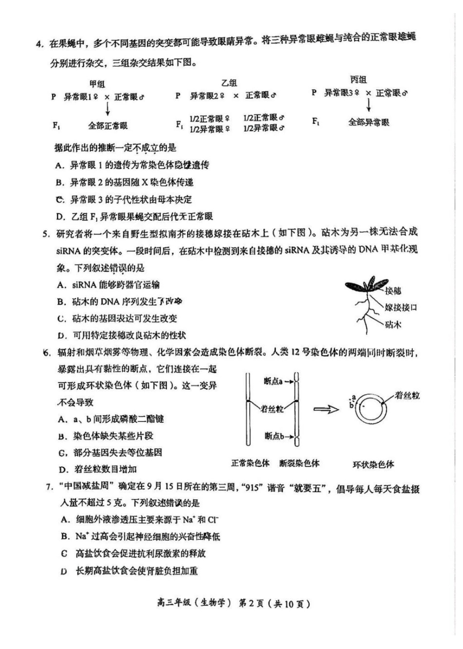 2026北京海淀高三一模生物有答案.pdf_第2页