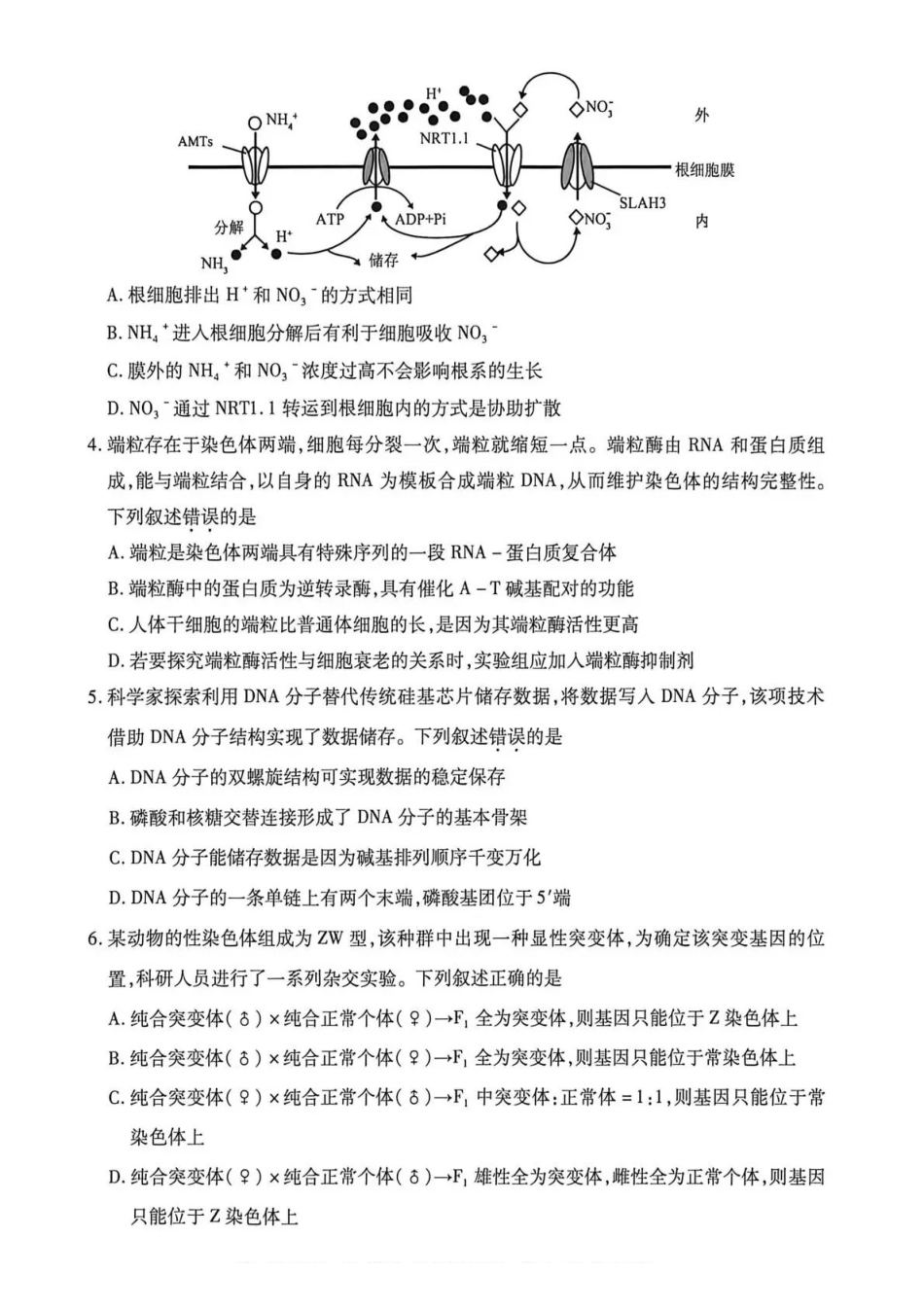 2026年高三年级第二次模拟考试试题生物.pdf_第2页