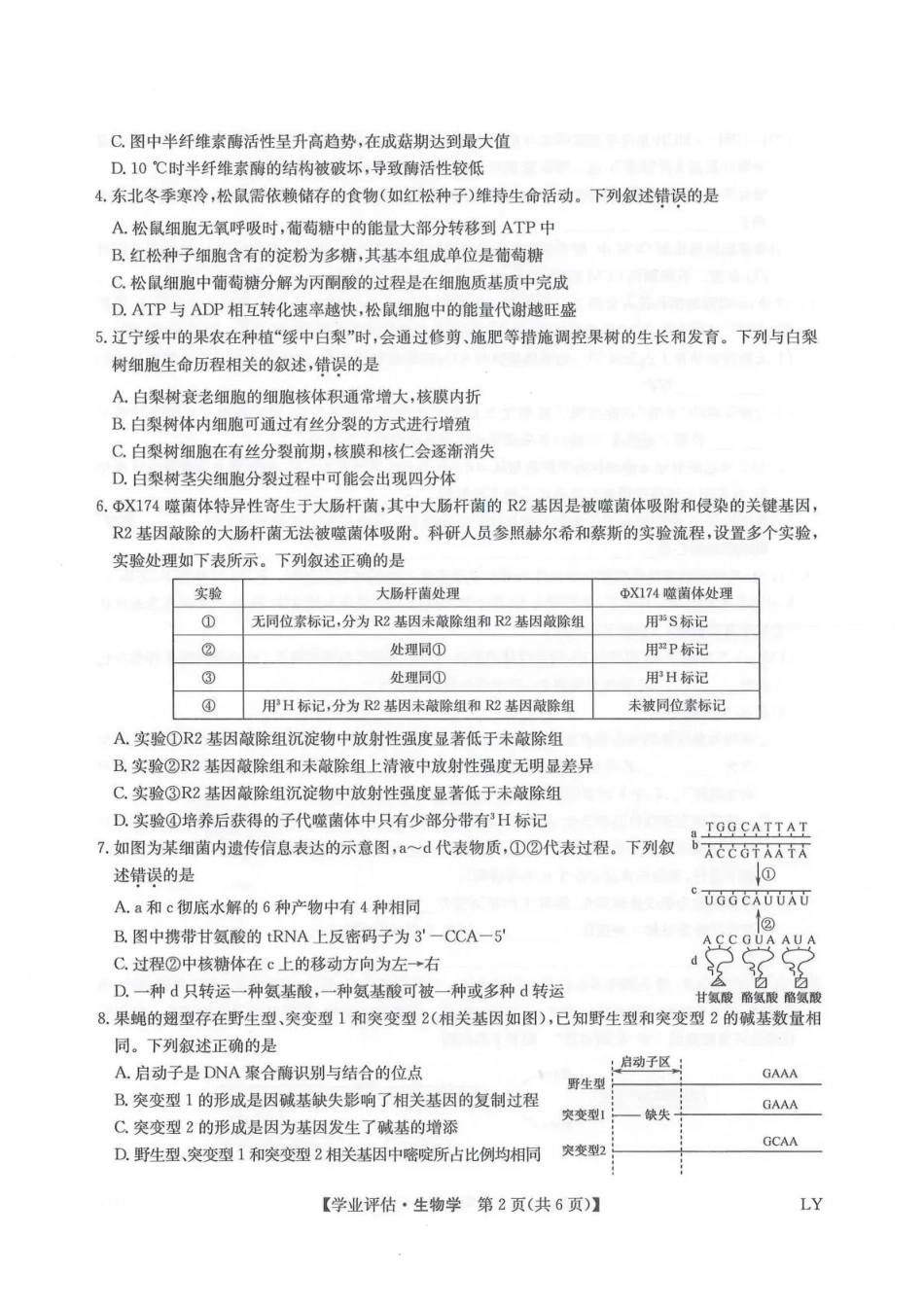九师联盟2026届高三下学期4月学业评估生物.pdf_第2页