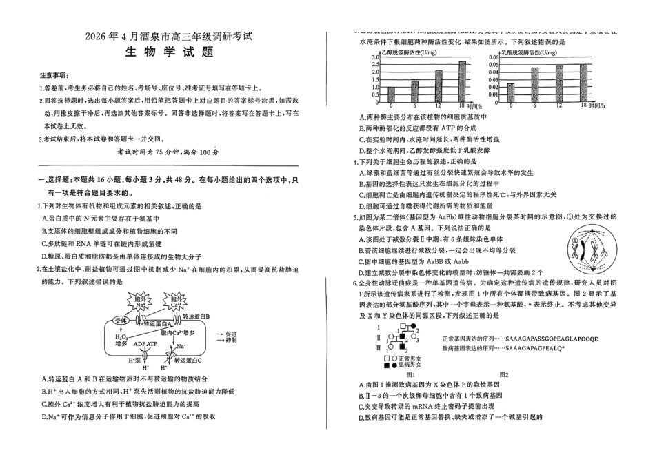 2026年4月酒泉市高三年级调研考试生物.pdf_第1页