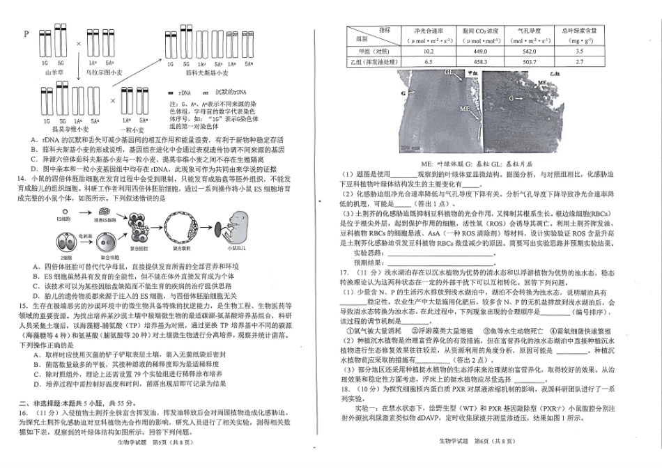 2026年合肥市高三第二次教学质量检测生物.pdf_第3页