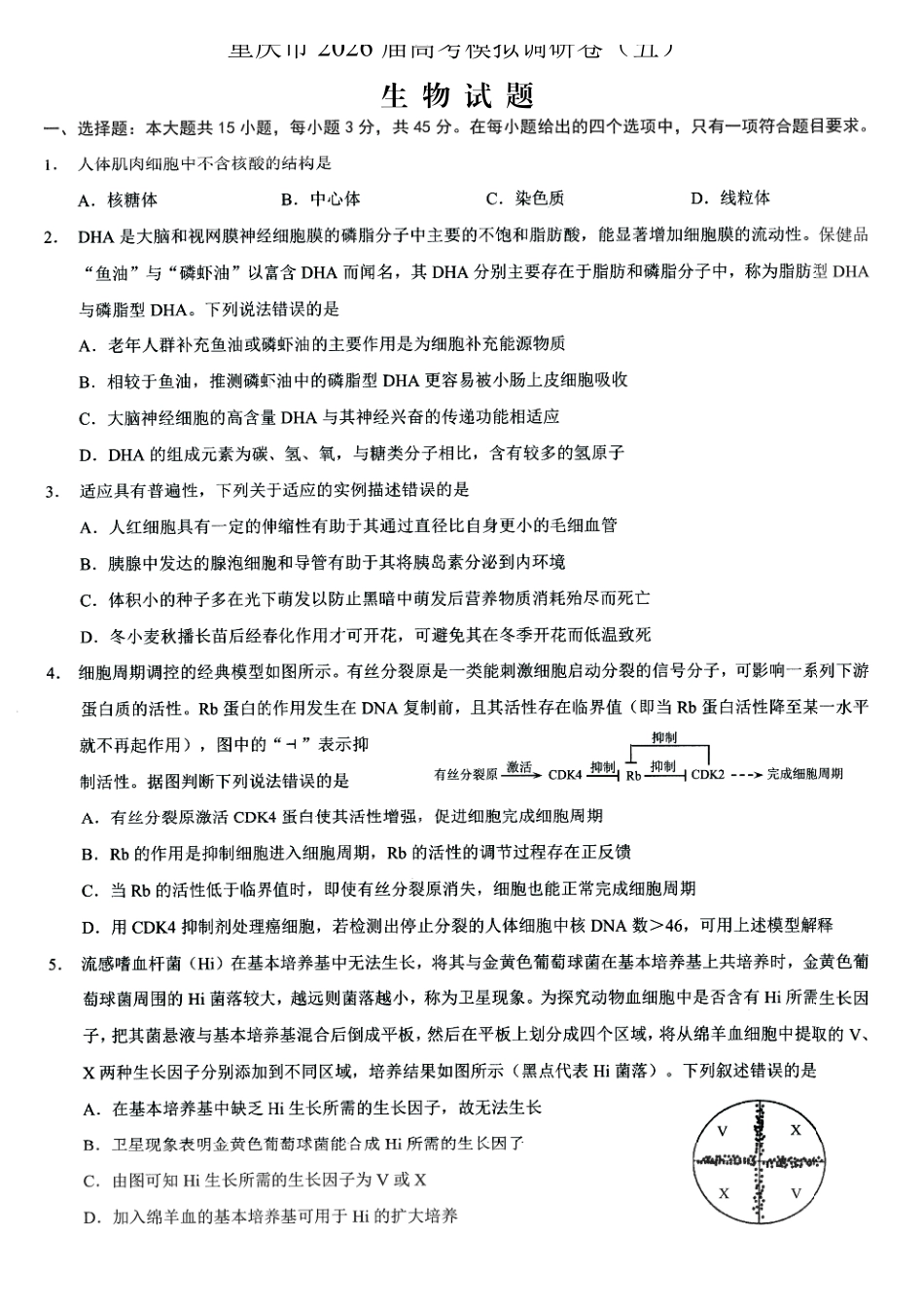 2026年普通高等学校招生全国统一考试康德调研（五）生物+答案.pdf_第1页