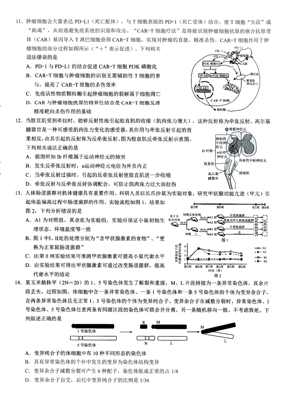 2026年普通高等学校招生全国统一考试康德调研（五）生物+答案.pdf_第3页