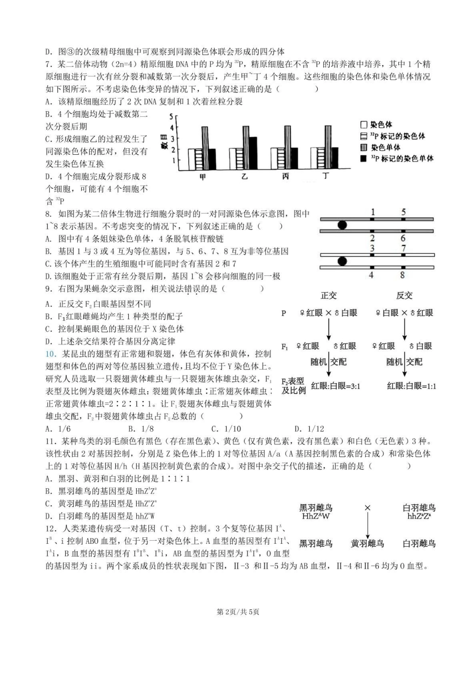 安徽合肥市普通高中六校联盟2024-2025学年高一下学期4月期中考试生物含答案_副本.pdf_第2页