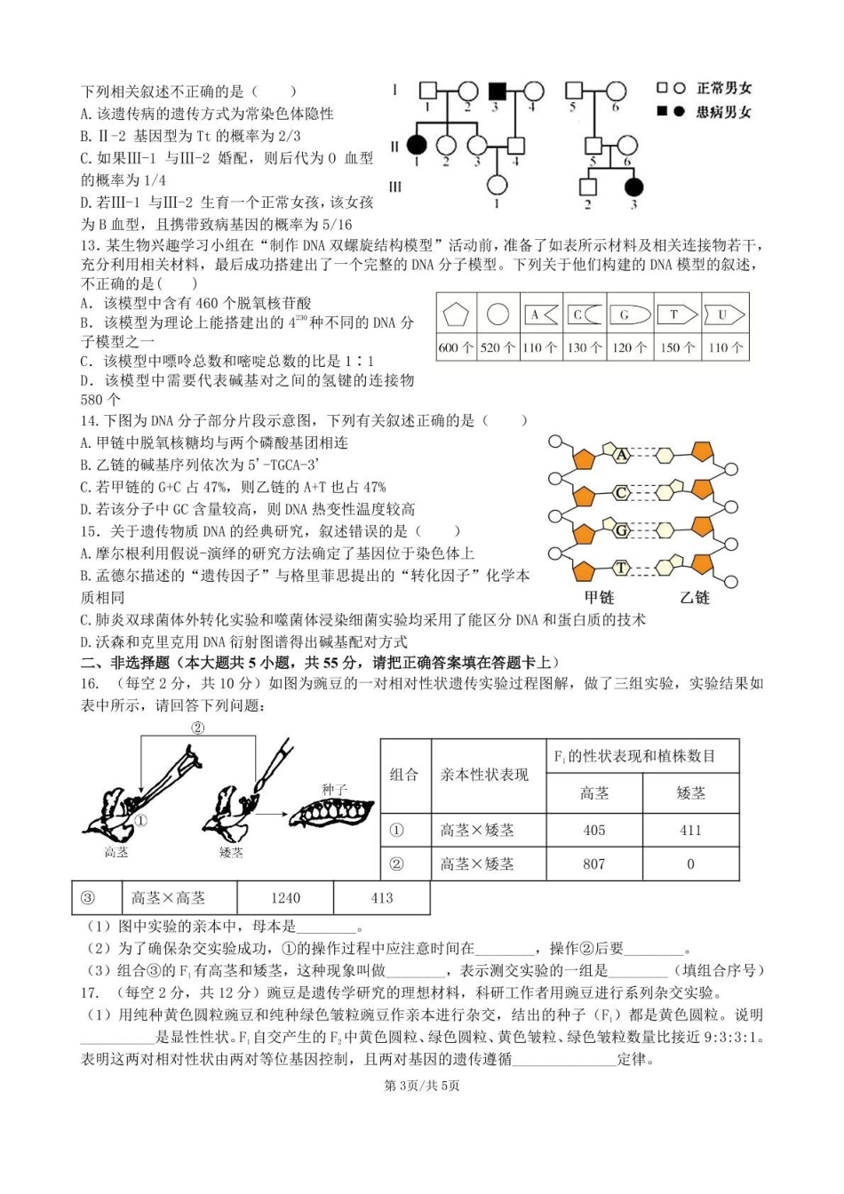 安徽合肥市普通高中六校联盟2024-2025学年高一下学期4月期中考试生物含答案_副本.pdf_第3页